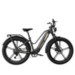 Bicicleta Eléctrica Fiido Titan Cargo 750W 135 km